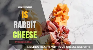 Rabbit Cheese Cost: Is This Gourmet Treat Worth the Price?
