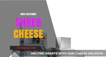 The Art of Shredding Cheese: Factory Techniques and Processes