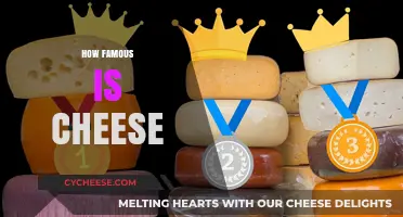 The Global Obsession: How Cheese Became a World-Famous Food