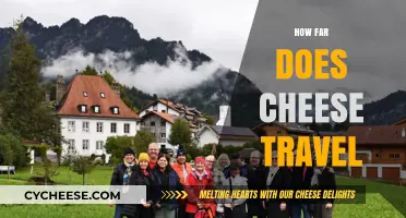 The Surprising Journey of Cheese: Miles Traveled from Farm to Table