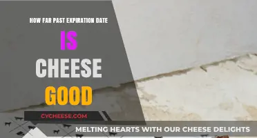 Cheese Expiration: How Long Can You Safely Indulge?