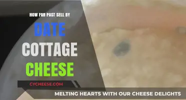 Cottage Cheese Shelf Life: How Long Past Sell By Date is Safe?