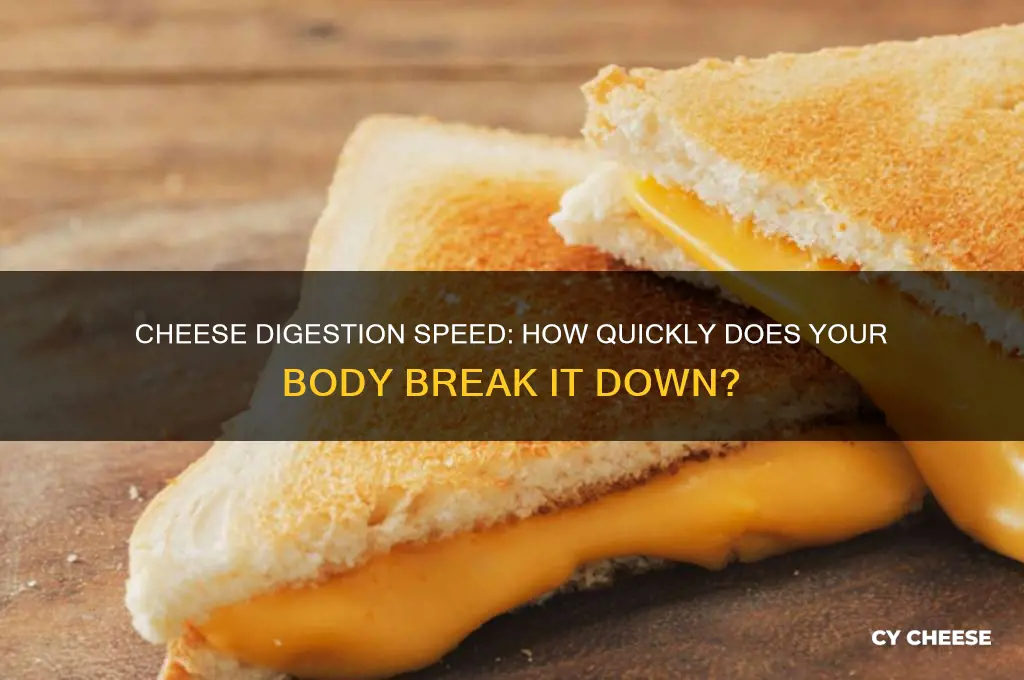 how fast does cheese digest