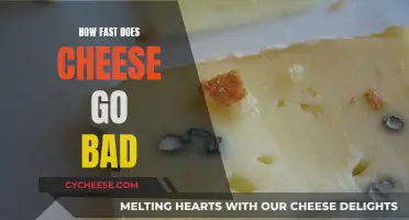 Cheese's Shelf Life: How Long Does it Last?