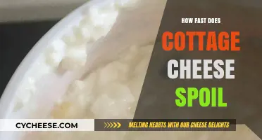 How Quickly Does Cottage Cheese Spoil? A Shelf Life Guide