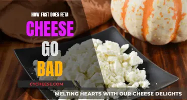 Feta Cheese: How Long Does it Last?
