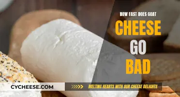 Goat Cheese's Shelf Life: How to Keep It Fresh