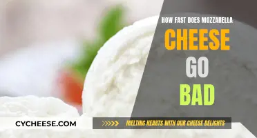 Mozzarella Cheese: How Long Does it Last?