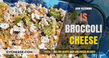 Is Broccoli Cheese Fattening? Nutritional Breakdown and Healthy Tips