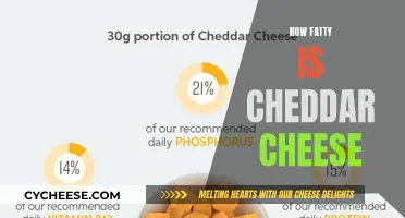 Cheddar Cheese: Unveiling the Creamy, Fatty Delight