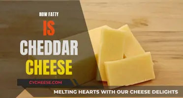 Cheddar Cheese: A Fatty Delight?
