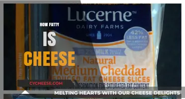 Uncovering Cheese's Fat Content: A Nutritional Breakdown of Dairy's Creamy Delight