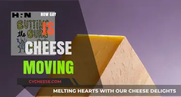 Exploring the Unexpectedly Queer Journey of Moving Cheese