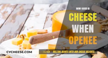 Cheese Unveiled: The Magic of Opening