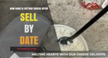 Is Cottage Cheese Still Safe and Tasty After Sell-By Date?