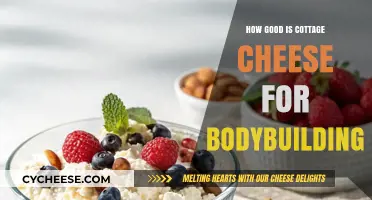 Cottage Cheese for Bodybuilding: Nutrition Benefits and Muscle-Building Power