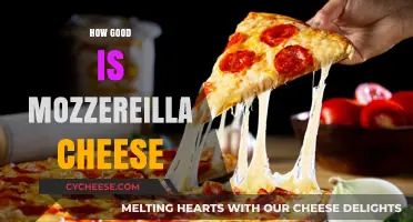 Mozzarella Magic: The Ultimate Cheese Experience