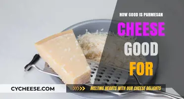 Parmesan Cheese: Delicious and Nutritious Superfood