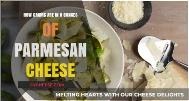 Parmesan Cheese Weight Conversion: Grams in 8 Ounces
