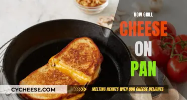 Grilling Cheese on a Pan: Quick, Easy Methods