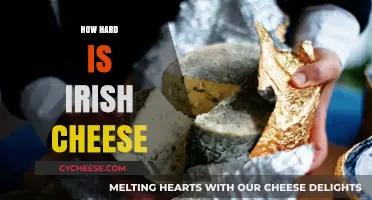 Exploring the Texture and Flavor Intensity of Irish Cheese Varieties