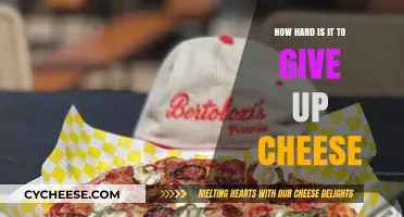 The Dairy Dilemma: Struggles of Saying Goodbye to Cheese