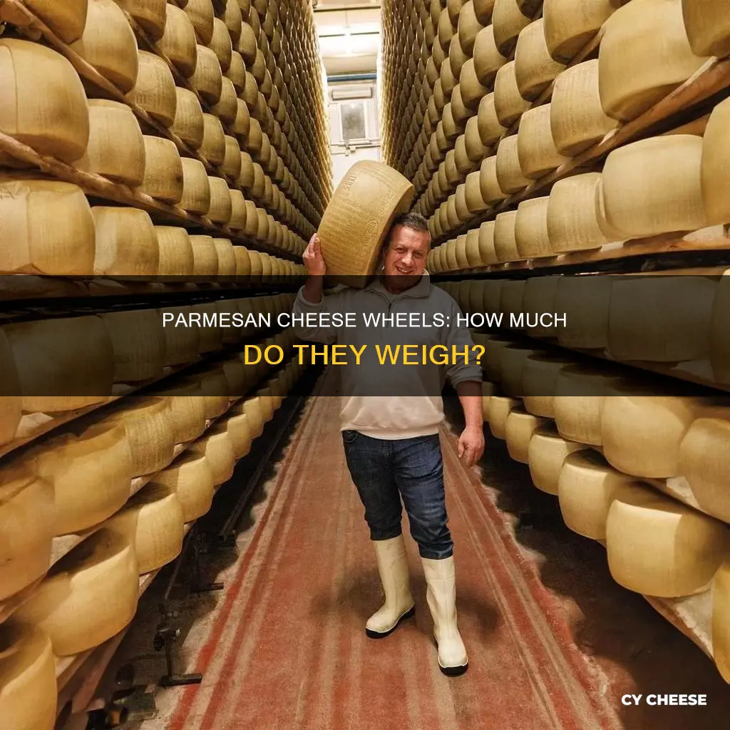 how heavy are parmesean cheese wheels