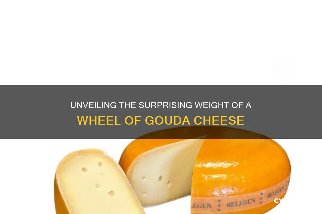 how heavy is a wheel of gouda cheese