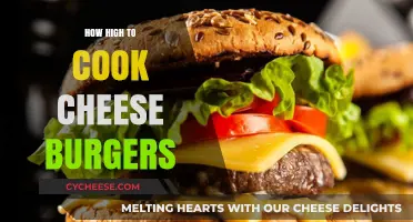 Sizzling Cheeseburgers: Perfect Cooking Temperature