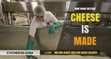 From Curds to Creamy: The Art of Making Cottage Cheese