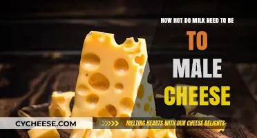 Perfect Cheese-Making Temperature: How Hot Should Milk Be?
