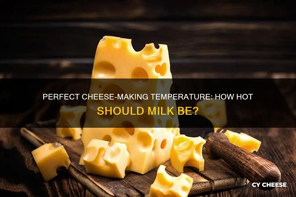 how hot do milk need to be to male cheese