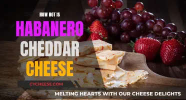 Habanero Cheddar: A Spicy, Cheesy Adventure