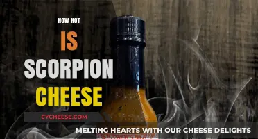 Scorpion Cheese Heat Level: Is It Too Fiery for Your Taste?
