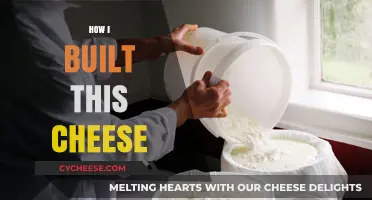 Crafting the Perfect Cheese: My Journey from Milk to Masterpiece