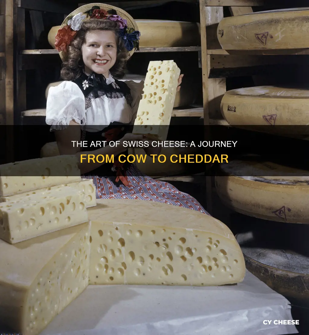 how i swiss cheese made