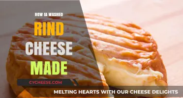 Unveiling the Art of Wash-Rind Cheese: A Tasty Journey