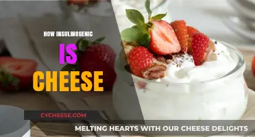 Cheese and Insulin Response: Unraveling Its Insulinogenic Potential