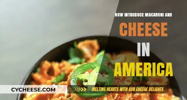 The Story of Mac and Cheese's American Adventure