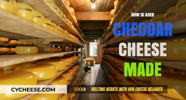 The Art of Cheddar: Unveiling the Aging Process