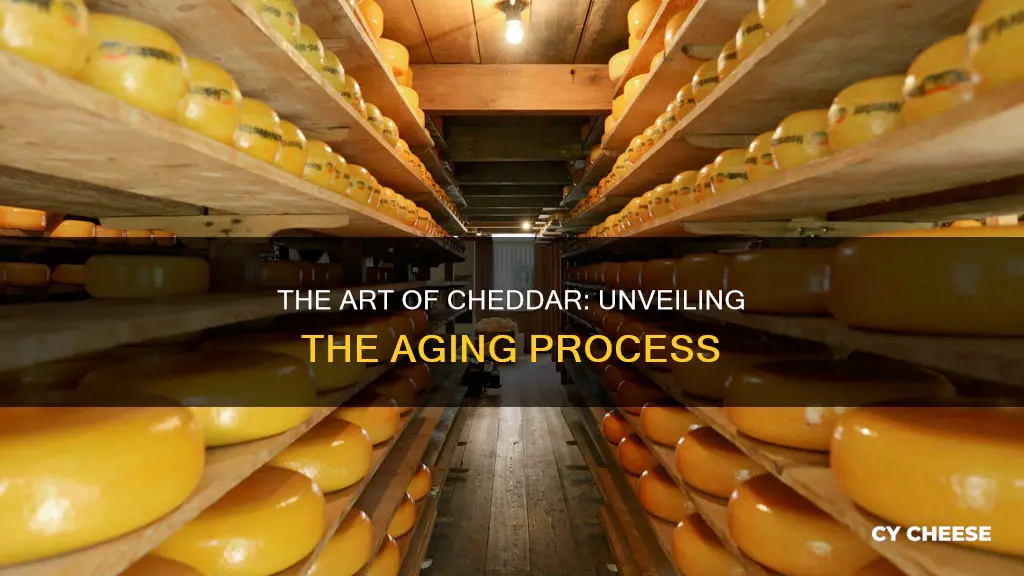 how is aged cheddar cheese made