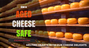 Aged Cheese Safety: Understanding the Science Behind Its Preservation