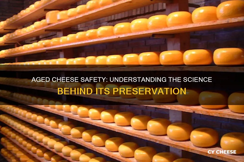 how is aged cheese safe
