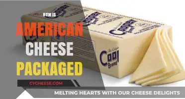 Understanding the Packaging Process of American Cheese: A Comprehensive Guide