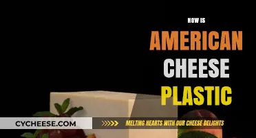 Is American Cheese Plastic? Unraveling the Mystery Behind Its Texture