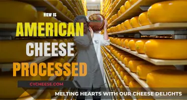Unveiling the Secrets: How American Cheese is Processed and Packaged