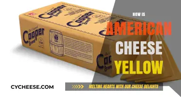 Why American Cheese is Bright Yellow: The Surprising Science Behind the Color
