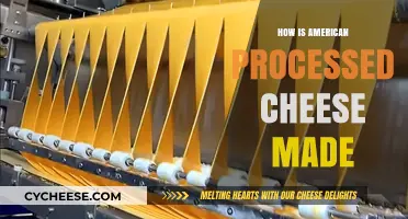 Unveiling the Secrets: How American Processed Cheese is Made