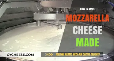 Unveiling Amul Mozzarella's Magic: A Cheesy Journey