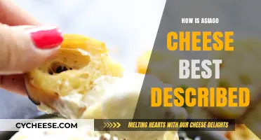The Unique, Savory Taste of Asiago Cheese
